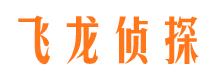 浦江侦探公司